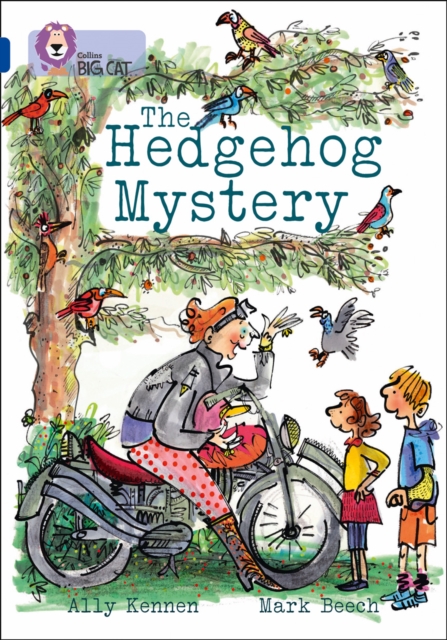 Hedgehog Mystery Band 16/Sapphire