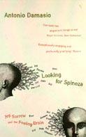 Looking For Spinoza Joy, Sorrow and the Feeling Brain