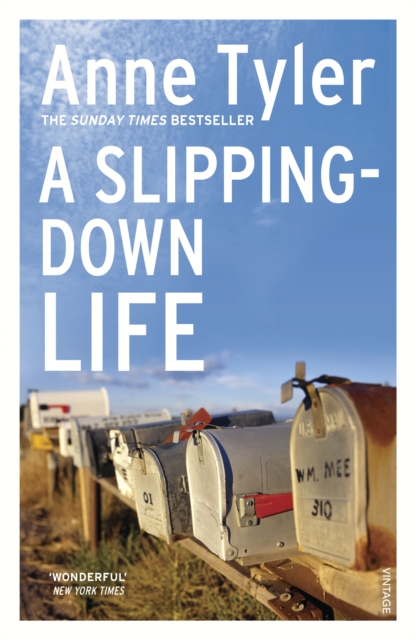 Slipping Down Life 
