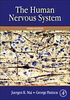 Human Nervous System 