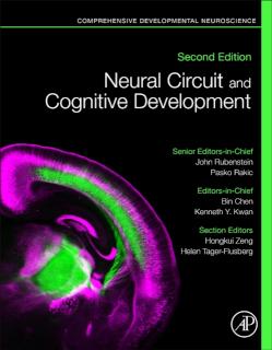 Neural Circuit and Cognitive Development Comprehensive Developmental Neuroscience