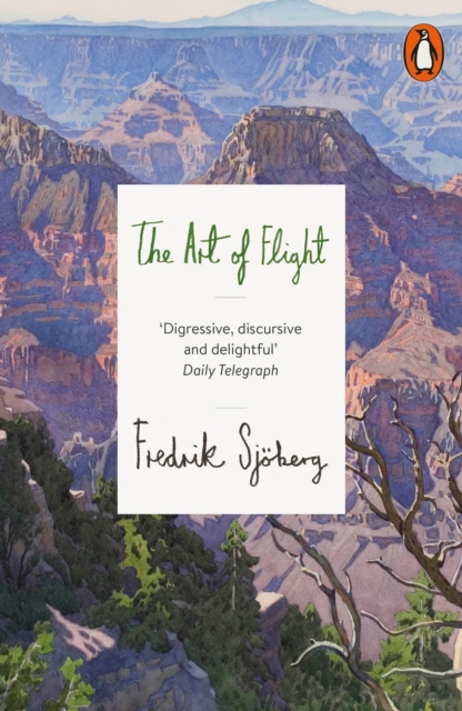 Art of Flight 