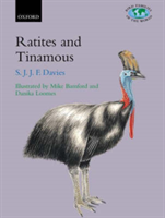 Ratites and Tinamous Tinamidae, Rheidae, Dromaiidae, Casuariidae, Apterygidae, Struthionidae