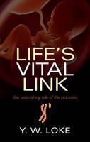 Life's Vital Link The Astonishing Role of the Placenta