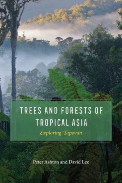 Trees and Forests of Tropical Asia Exploring Tapovan