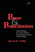 Power and Protectionism Strategies of the Newly Industrializing Countries