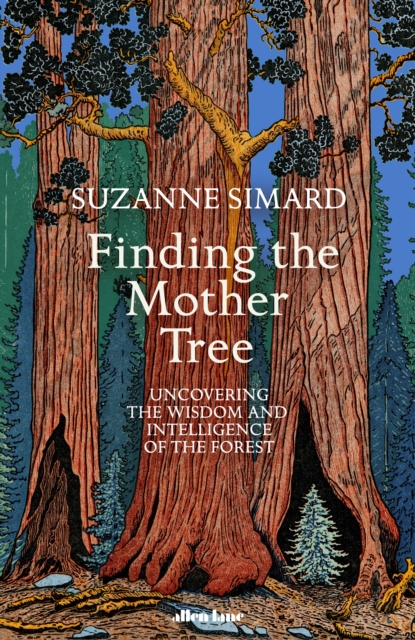 Finding the Mother Tree Uncovering the Wisdom and Intelligence of the Forest