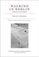 Walking in Berlin A Flaneur in the Capital