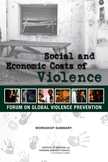 Social and Economic Costs of Violence Workshop Summary