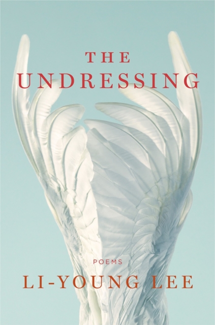 Undressing Poems