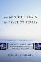 Mindful Brain Reflection and Attunement in the Cultivation of Well-Being