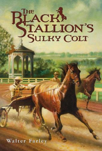 Black Stallion's Sulky Colt 