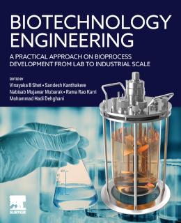 Biotechnology Engineering A Practical Approach on Bioprocess Development from Lab to Industrial Scale