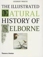 Illustrated Natural History of Selborne 