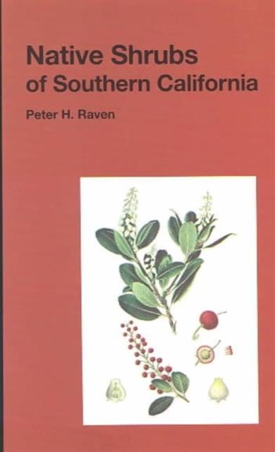 Native Shrubs of Southern California 