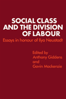 Social Class and the Division of Labour Essays in Honour of Ilya Neust