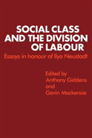 Social Class and the Division of Labour Essays in Honour of Ilya Neustadt