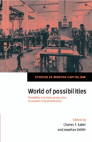World of Possibilities Flexibility and Mass Production in Western Industrialization