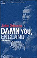 Damn You England Collected Prose