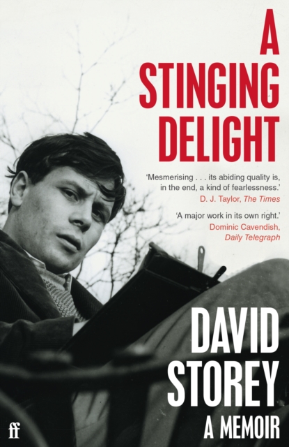 Stinging Delight A Memoir