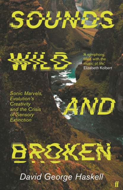 Sounds Wild and Broken 