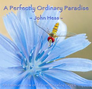 Perfectly Ordinary Paradise An intimate view of life on Brawley Creek