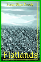Flatlands 