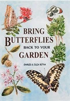 Bring Butterflies Back to Your Garden 