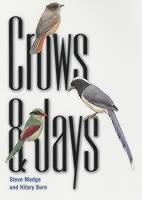 Crows and Jays 