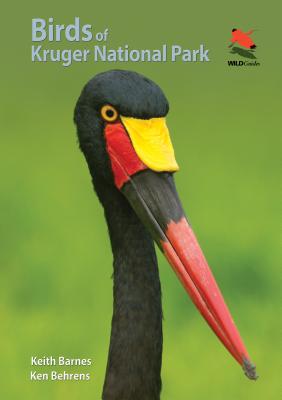 Birds of Kruger National Park 
