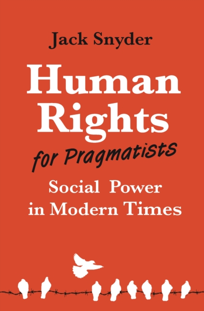 Human Rights for Pragmatists Social Power in Modern Times