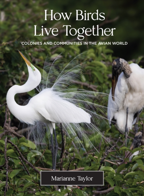 How Birds Live Together Colonies and Communities in the Avian World