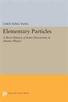Elementary Particles 