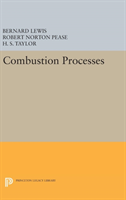 Combustion Processes 