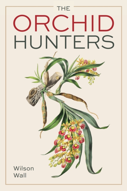 Orchid Hunters 