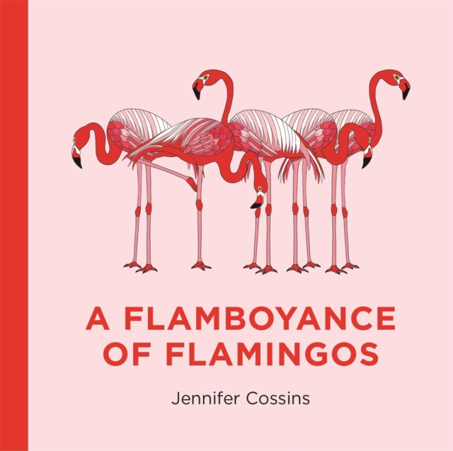 Flamboyance of Flamingos 