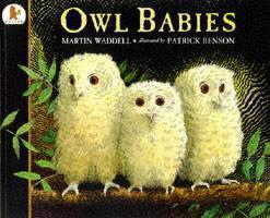 Owl Babies 