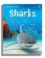 Discovery Sharks 