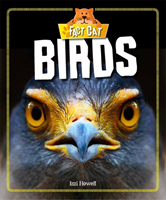 Fact Cat: Animals: Birds 