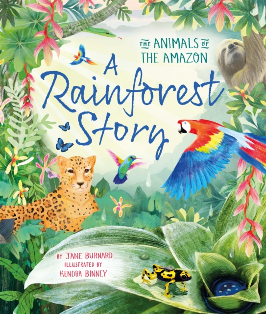 Rainforest Story The Animals of the Amazon
