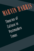 Theories of Culture in Postmodern Times 