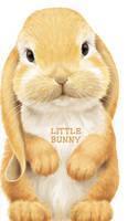 Little Bunny 