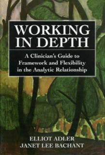 Working in Depth A Clinician's Guide to Framewo