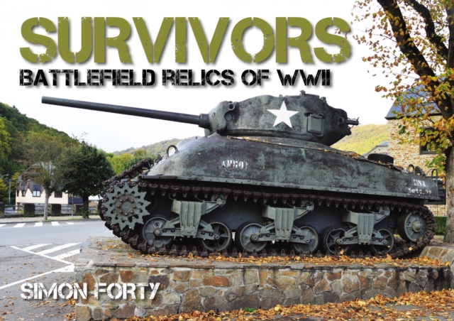Survivors: Battlefield Relics of WWII 