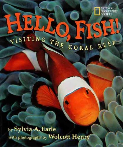 Hello Fish Visiting the Coral Reef