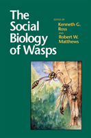 Social Biology of Wasps 