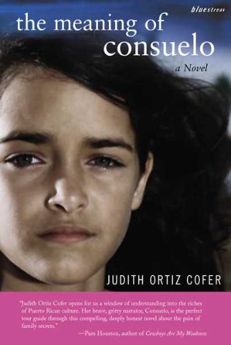 Meaning of Consuelo A Novel