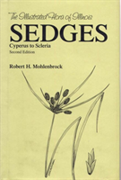 Sedges Cyperus to Scleria