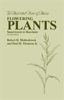 Flowering Plants Smartweeds to Hazelnuts