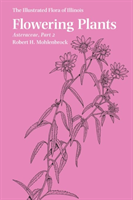 Flowering Plants: Asteraceae, Part 2 